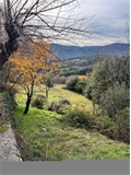 Image du bien UBI470949356